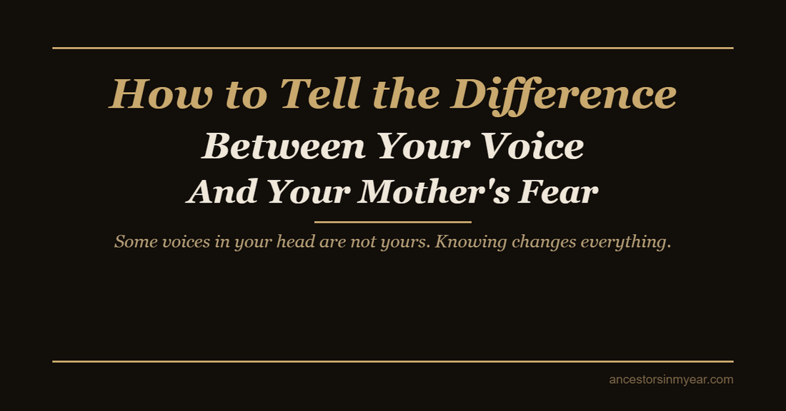 How to Tell the Difference Between Your Voice and Your Mother’s Fear — Ancestors In My Ear